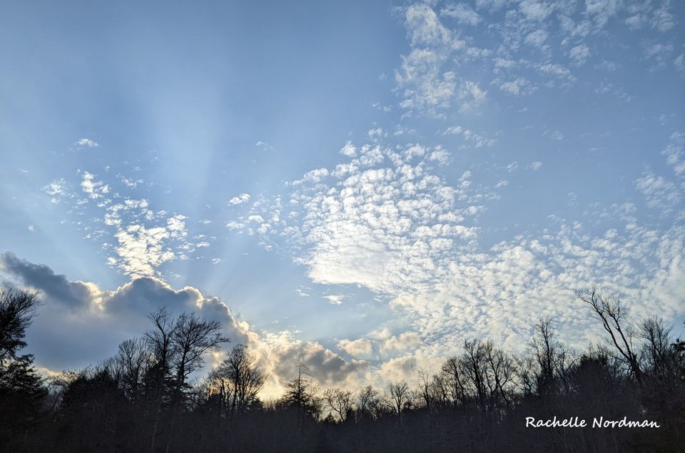 rays of sun from behind a puffy cloud in a blue sky above a treeline of bare branchs